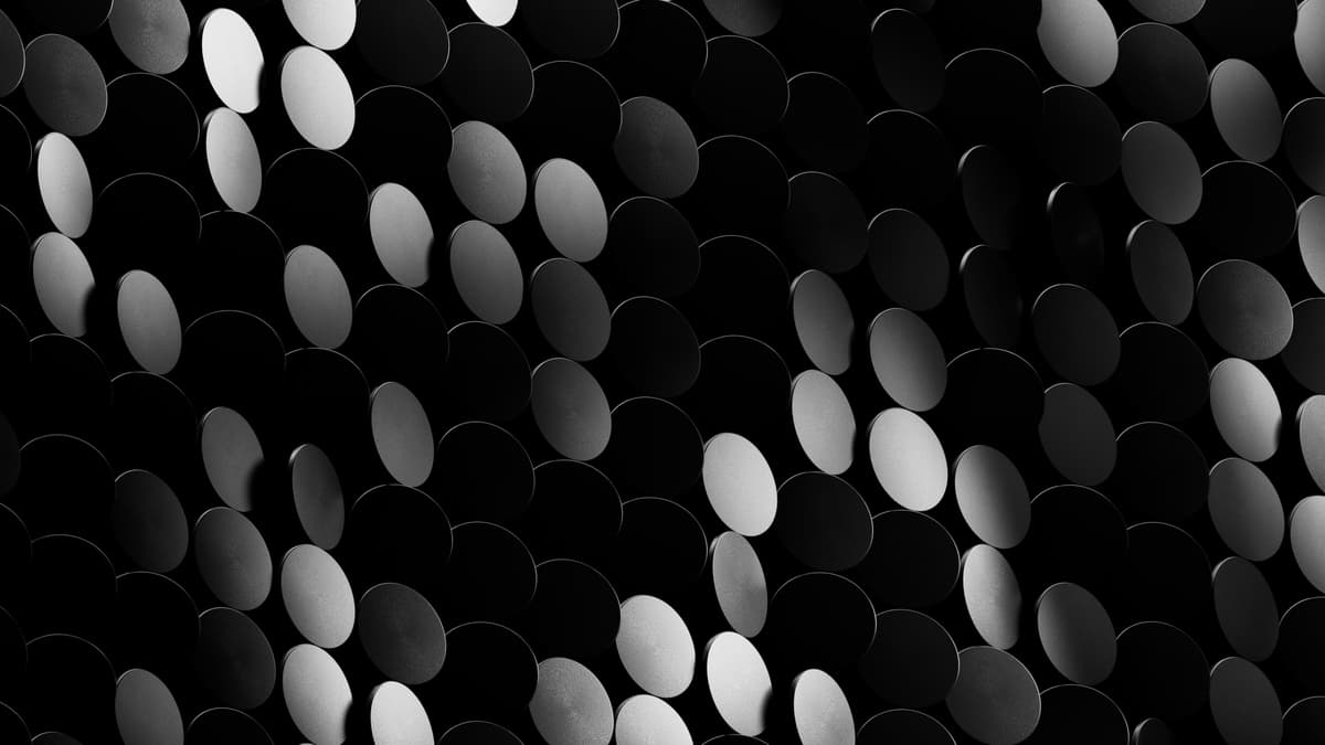Discus - 2 - B